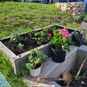 PHOTO-2026-04-22-09-08-15 Custom