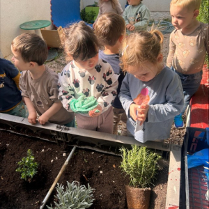 processed-1B37D4CC-5953-48A2-9D07-B42A121ABF73 Custom