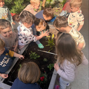 processed-9CDDC60E-E8FF-426B-ABA8-93C5196BF9AF Custom