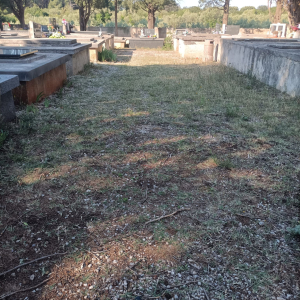 WhatsApp Image 2026-05-19 at 08.10.55 (2)