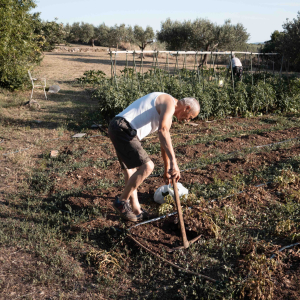 žak (4 of 4)
